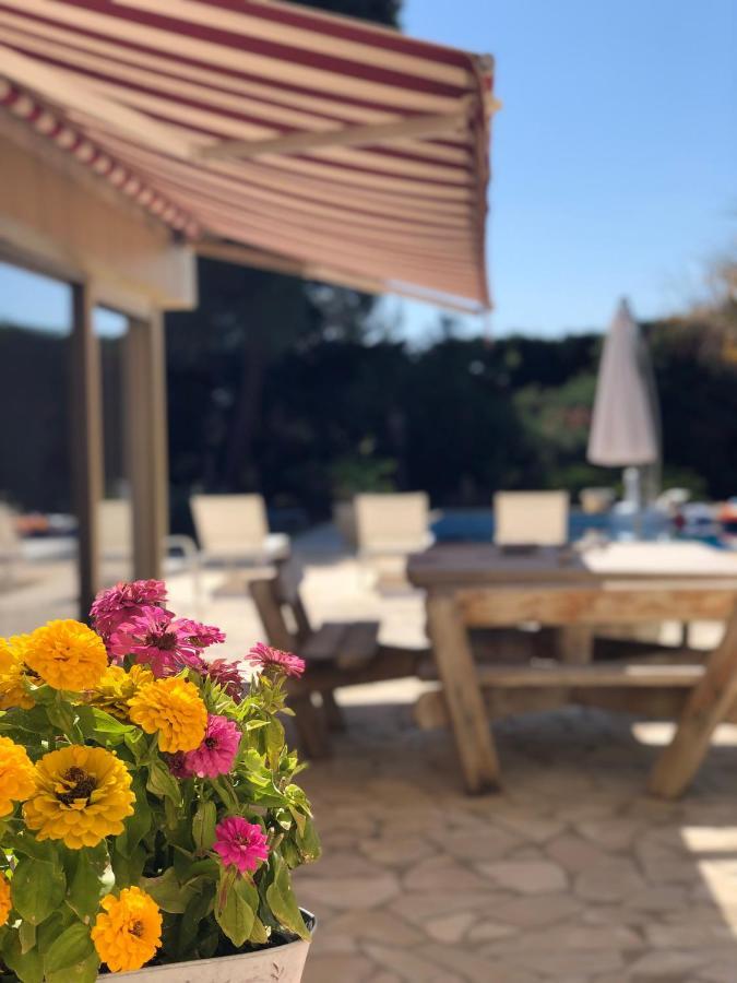 Le Paradis D'Anny Rouffiac-d'Aude Luaran gambar