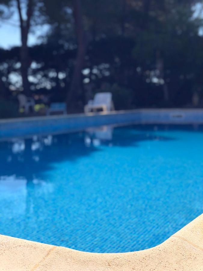 Le Paradis D'Anny Rouffiac-d'Aude Luaran gambar